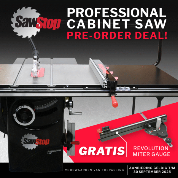 Professional Cabinet Saw