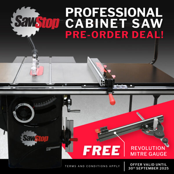 Professional Cabinet Saw