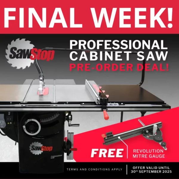 Professional Cabinet Saw