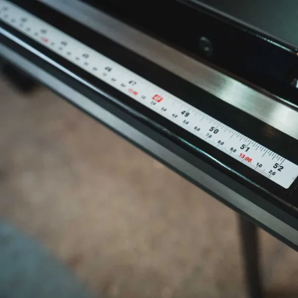 Professional Cabinet Saw